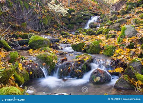 Beautiful Cascade Waterfall In Autumn Forest Stock Photo Image Of