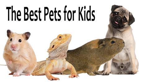 The Best Pets For Kids - YouTube