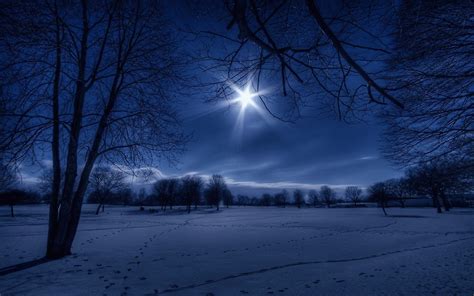 Night Snow Wallpaper Background Wallpapersafari