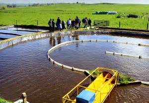 Custom wastewater treatment solutions for all business types in the united states. Pond treatment textbook shows NZ expertise | NIWA