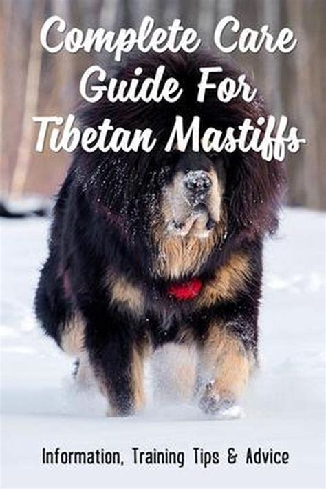 Complete Care Guide For Tibetan Mastiffs Johnie Aresco 9798451528952