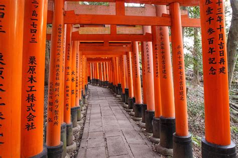 Dan Carter On Twitter Fushimi Inari Taisha Kyoto 🇯🇵 👌