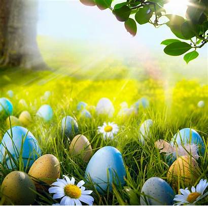 Easter Eggs Spring Happy Holiday Screen Wallpapers