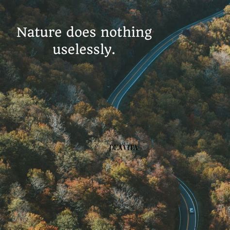 20 Short Inspirational Nature Quotes Richi Quote