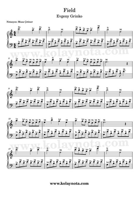 Evgeny Grinko Field Piyano Notası