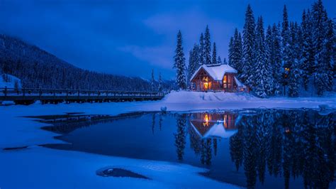 2048x1152 Forest House Covered In Snow 4k 2048x1152 Resolution