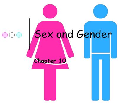 Gender And Socialization