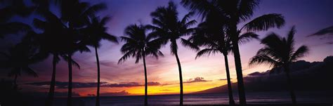 Landscape Dual Monitors Palm Trees Sea Sunset Orange Sky Dusk