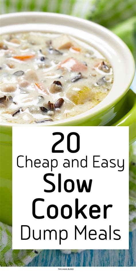 20 Slow Cooker Dump Meals Easy Fuss Free Dishes To Make With Your