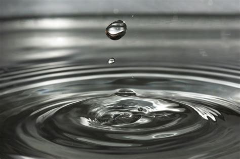 Free Stock Photo Of Drip Drop Of Water Water