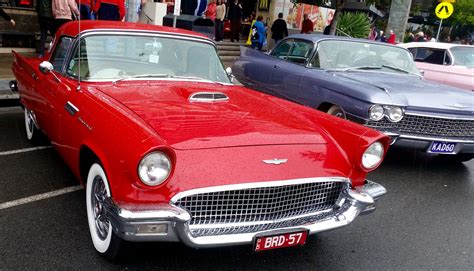 57 T Bird Spotted At Gold Coast Cooly Rocks June 10 2017 Gold Coast Spotted Queensland