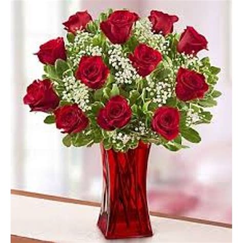 One Dozen Red Roses With Babies Breath Mebane Nc Florist Gallery