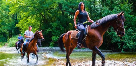 The 10 Best Blue Ridge Georgia Horseback Riding Tours