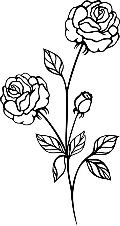 Rose Black And White Rose Flower Clip Art Wikiclipart