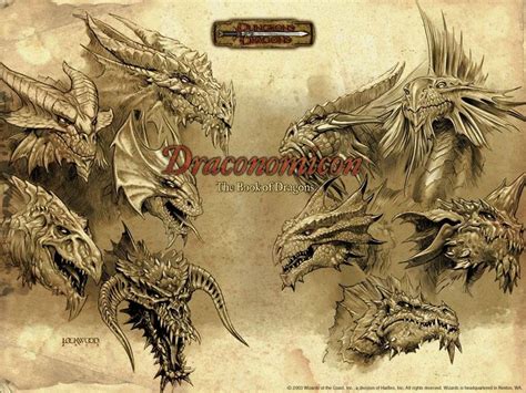 Draconomicon Dragon Art Dungeons And Dragons Dragon Games