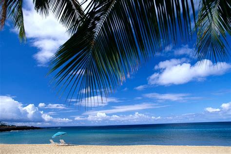 💛 Top 🔟 Hawaiian Beaches Perfect For Your Hawaiian Vacation💛 Musely