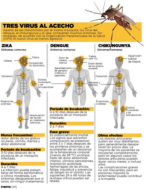 Preguntas Frecuentes Sobre El Virus De Zika Dossiers Opossanidad