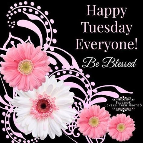 Happy Tuesday Everyone Pictures Photos And Images For Facebook