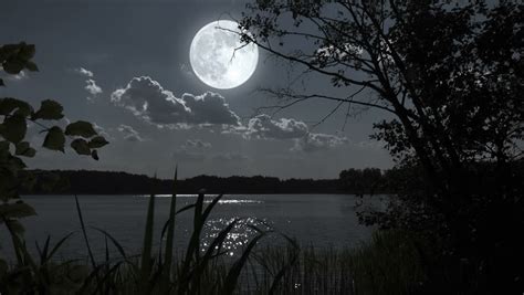 Full Moon Night Landscape With Forest Lake Stock Footage Video 7229674