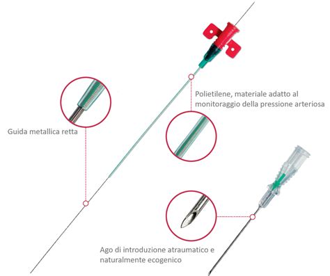 Leader Cath 115090 Dal Cateterismo Arterioso A Quello Venoso