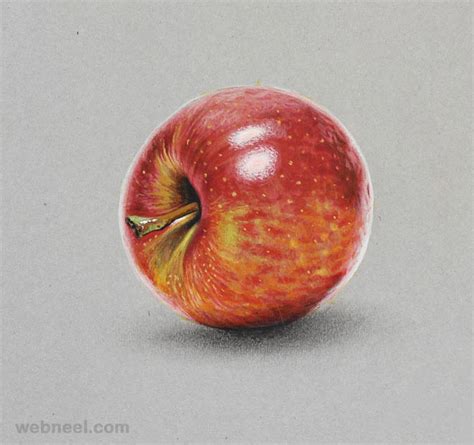 Colored Pencil Drawings Fruit 12