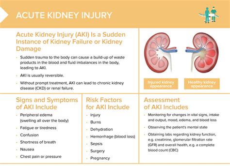 Acute Kidney Injury Free Cheat Sheet Lecturio Nursing 11