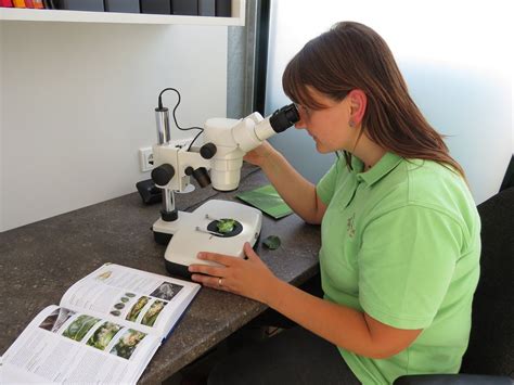 Halsschmerzen schnupfen ausnutzen apotheke heilpflanzen punkte hilfe drei pflanzen. Gartenapotheke - Langeder Gartenharmonie
