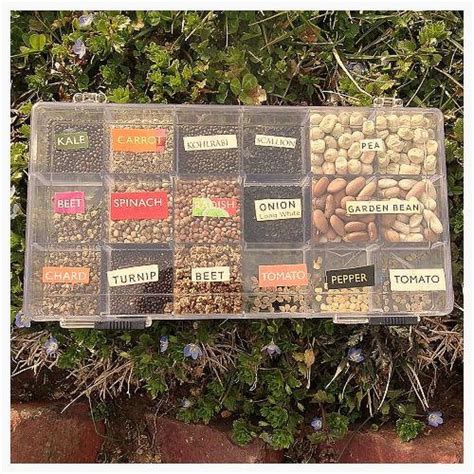 Bead Box Seed Library Garden Inspiration Seed Storage Garden Seeds