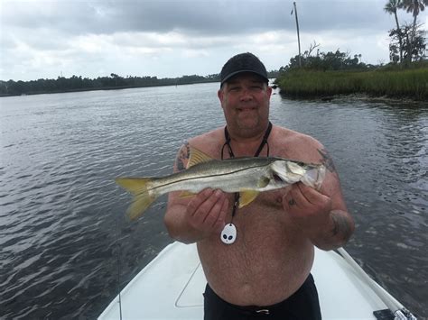 Snook Common H20dog