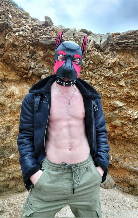 Pup Horny On Twitter Lazy Sunday Weather Not Very Nice Pup Is