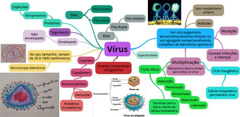 Mapa Mental De Virus Sololearn The Best Porn Website