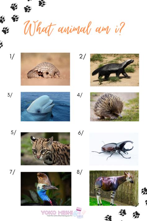 If you can ace this general knowledge quiz, you know more t. Fun & educational animal trivia questions for kids | Yoko Meshi