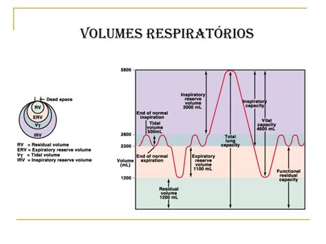 Volume De Reserva Expiratório