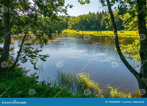 View Of The Lake And The Shore On A Sunny Day Stock Image Image Of