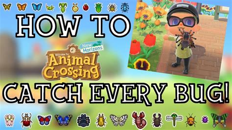 How To Catch Every Bug In Animal Crossing New Horizons New Horizons