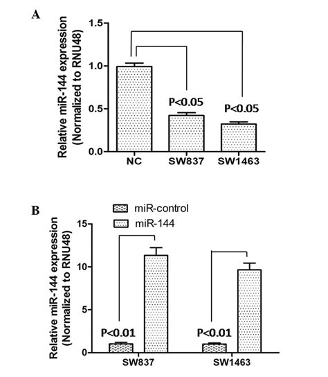 microrna‑144 inhibits migration and proliferation in rectal cancer by downregulating rock‑1