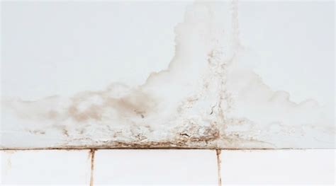 However, severe ones like softening or crumbling of the material and sagging of the ceiling will require cutting and installing new drywall sheets. Do-It-Yourself Tips For Repairing Water Damaged Ceilings