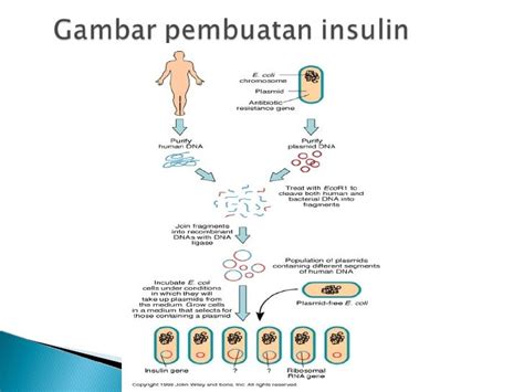 Contoh Bioteknologi Modern Viral Update