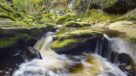 Bavarian Forest Nature Park Europes Green Canopy Germany Travel