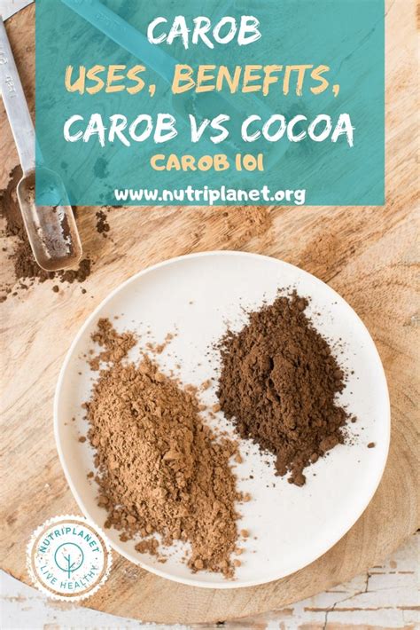 Carob Benefits Uses And Carob Vs Cocoa Nutriplanet Carob Recipes