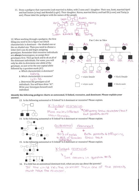 Some of the worksheets displayed are genetic work answer key, human pedigree genetics work answer key, genetic code work answer key, spongebob genetics work answers, km 754e 20160113072528, mutations work key, biotechnology web lesson genetic answer key, gene. Genetics Pedigree Worksheet Answer Key