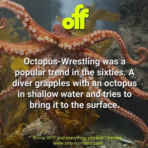 100 Fun Facts Everyone Should Know Only Fun Facts Unbelievable