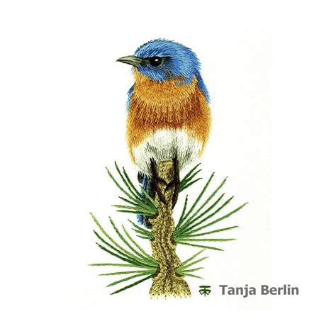 Eastern Blue Bird On Pine Branch Needle Painting Hand Etsy Needle