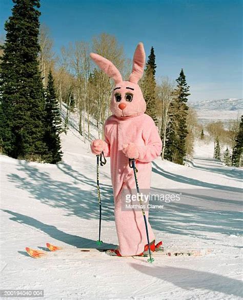 Funny Snow Skiing Bildbanksfoton Och Bilder Getty Images