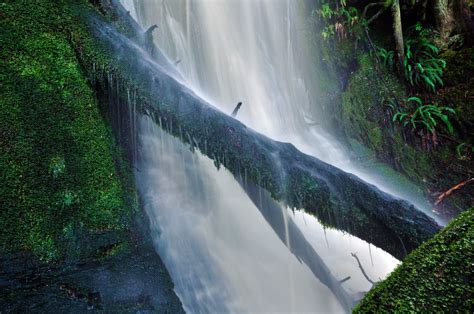 Shutterbugs Capturing The World Around Us Rainforest Waterfall