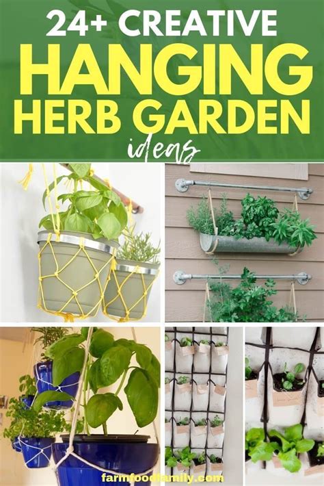 24 Best Hanging Herb Garden Ideas And Designs For 2021 Hanging Herb