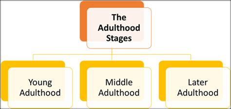 Adulthood Stages Telegraph