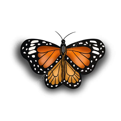 Butterfly 3d Transparent Png Beautiful Butterfly 3d Butterfly 3d 3d