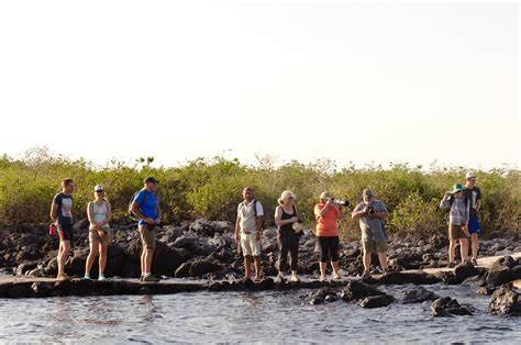 Galapagos Weather Guide What Months Are The Best To Visit Galakiwi