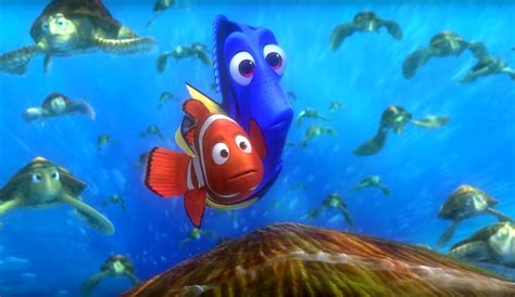 Dont Find Dory A New Home The Inertia